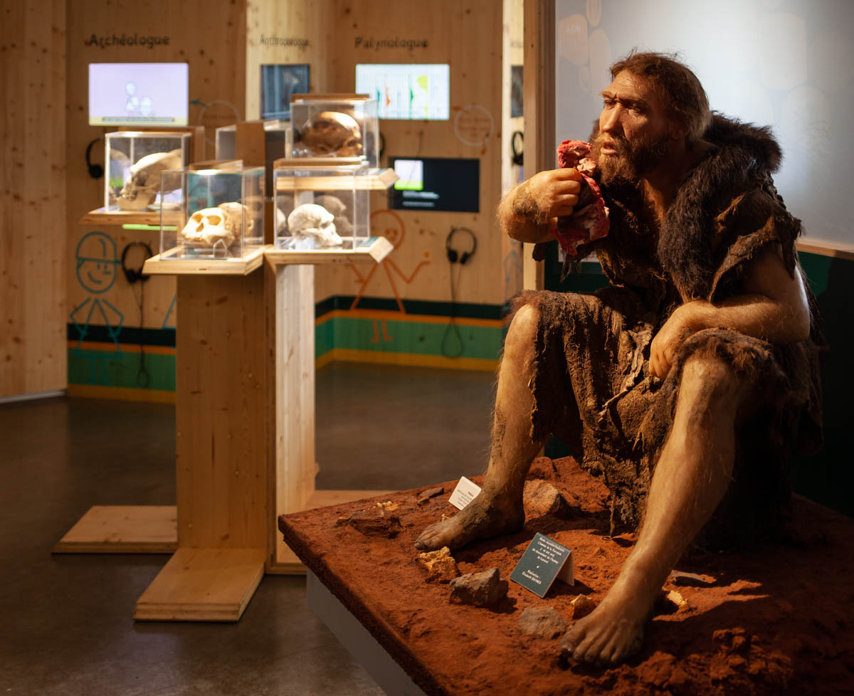 Grotte du Lazaret: French Riviera’da Zamanın Unuttuğu Mağara!